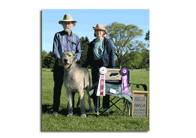 Jack at IWCA LGRA trial