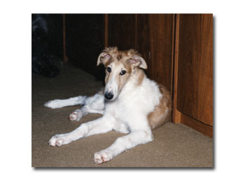 Challey as a baby