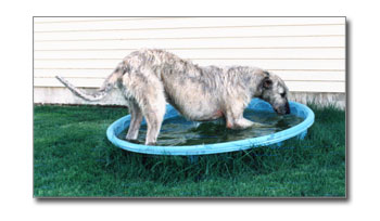 Emann in pool