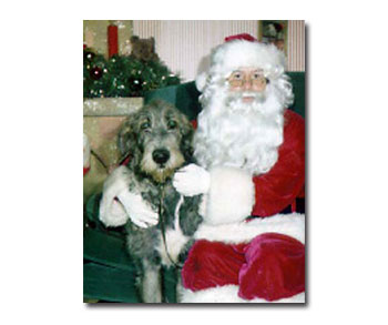 Farrell & Santa