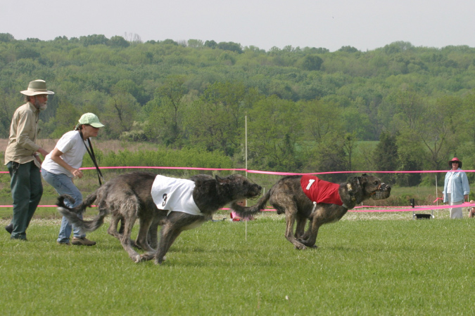 Murph_Colt_Jack_race1