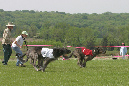Murph_Colt_Jack_race1