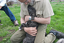 Rummer_pups44_1