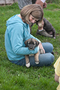 Rummer_pups48_1